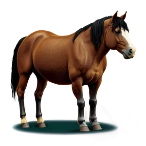 Farm Horse Cartoon Png 89 PNG image