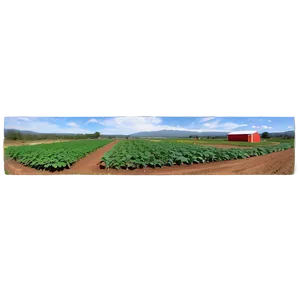 Farm View PNG 06252024