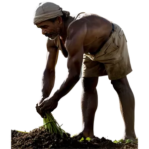 Farmer At Work PNG 05242024