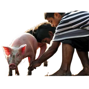 Farmer Feeding Pigs Png Enj15 PNG image