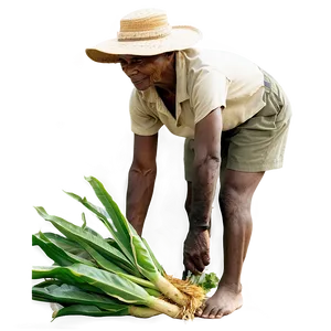 Farmer Harvesting Png 52 PNG image