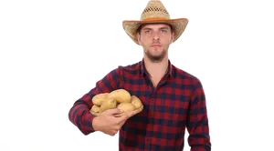 Farmer Holding Potatoes PNG image