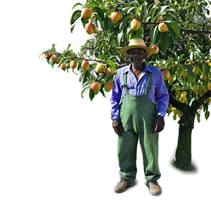 Farmer In Orchard Png 05242024 PNG image