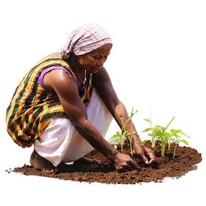 Farmer Sowing Seeds Png Xar PNG image
