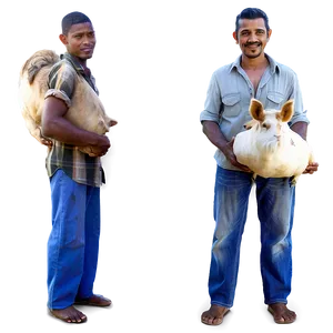 Farmer With Livestock Png Xql31 PNG image
