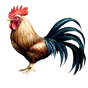 Farmyard Rooster Graphic PNG 81