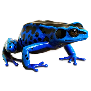 Fascinating Poison Dart Frog PNG 51