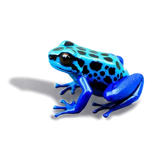 Fascinating Poison Dart Frog PNG Egj50 PNG