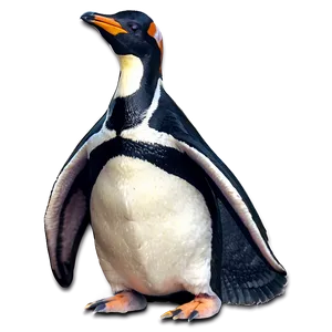 Fashionable Penguin PNG 46 PNG