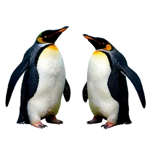 Fashionable Penguin PNG 69 PNG