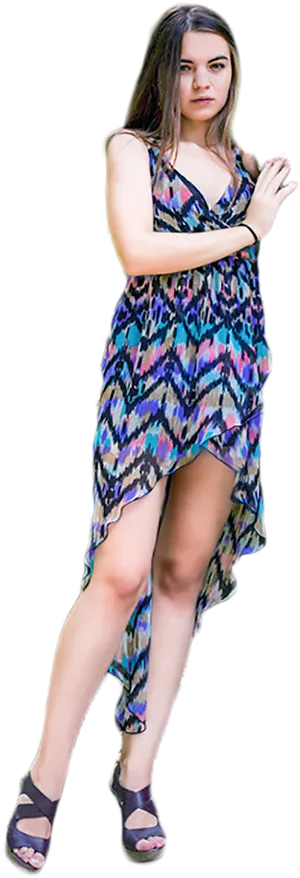 Fashionable Womanin Printed Dress.png PNG image