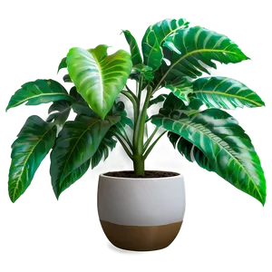 Fast Growing Plant PNG 05032024