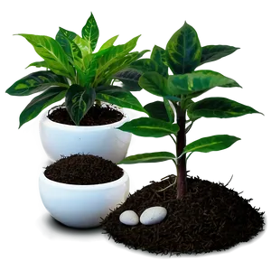 Fast Growing Plant PNG Wet38