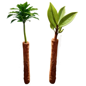 Fast Growing Plants PNG 22