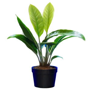 Fast Growing Plants Png Vev PNG image