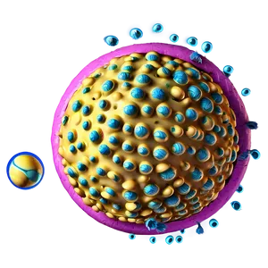 Fat Cells Structure Png 06122024 PNG image