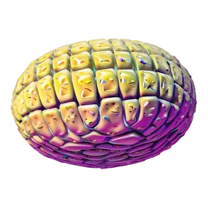 Fat Cells Structure Png 65 PNG image