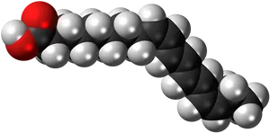 Fatty Acid Molecule3 D Model PNG image