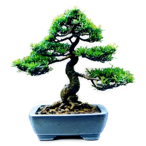 Faux Bonsai Tree Png 77 PNG image