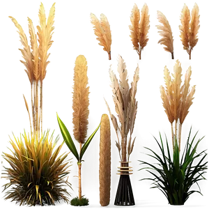 Faux Pampas Display Png 06272024 PNG image