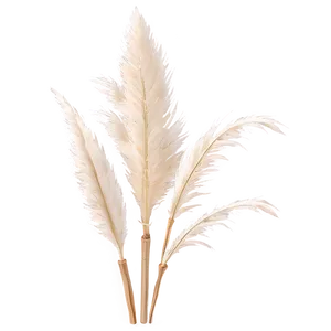 Faux Pampas Grass Png 47 PNG image