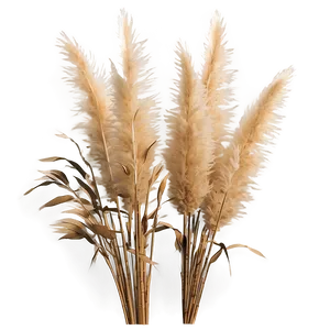 Faux Pampas Grass Png Sfj PNG image