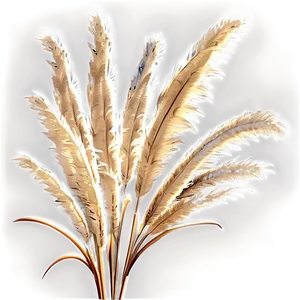 Faux Pampas Grass Png Tee65 PNG image