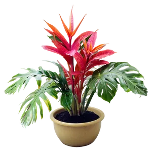 Faux Tropical Plant Png Vmx60 PNG image