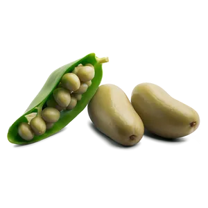 Fava Bean Snack PNG 93 PNG