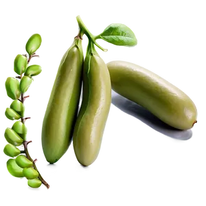 Fava Beans Png 59 PNG image