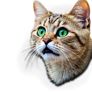 Fearful Cat Meme PNG Pic