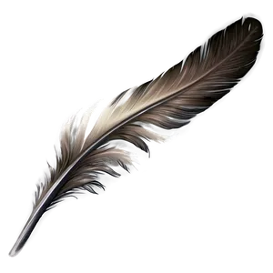 Feather B PNG image