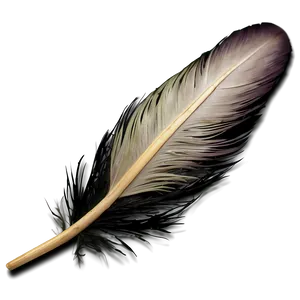 Feather Fashion Accessory Png 81 PNG image