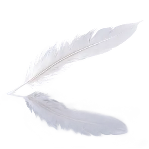 Feather Floating On Water Png 37 PNG image