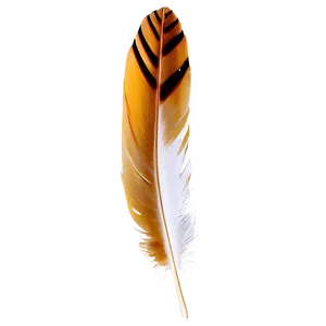 Feather On Vintage Paper Png 28 PNG image