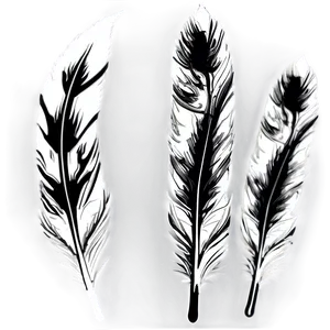 Feather Pattern Design Png Myq53 PNG image