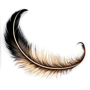 Feather Pen Logo Design Png Osk PNG image