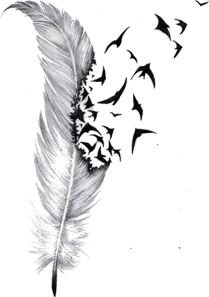 Feather Transforming Into Birds Artwork PNG image