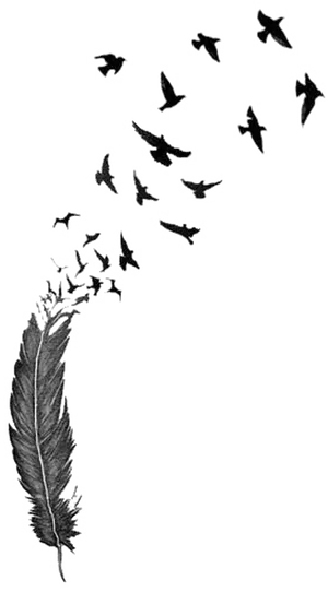 Feather Transforminginto Birds PNG
