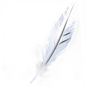 Feather Transparent Background Png 05042024 PNG image