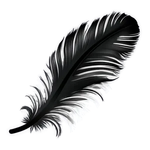 Feather Transparent Background Png 7 PNG image