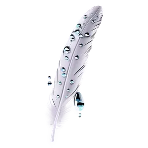 Feather With Dew Drops Png 05042024 PNG image