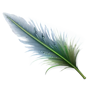 Feather With Dew Drops Png Amm36 PNG image