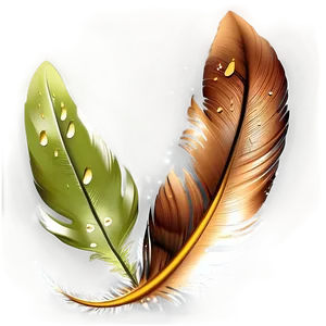 Feather With Dew Drops Png Ech PNG image