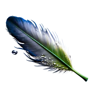 Feather With Dew Drops Png Vep12 PNG image