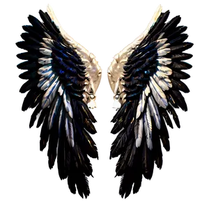 Feathered Angel Wings Picture PNG 05042024