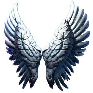 Feathered Angel Wings Picture PNG Amp