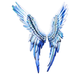 Feathered Angel Wings Picture PNG Apf