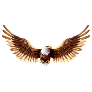 Feathered Eagle Wings Graphic Png 70 PNG image