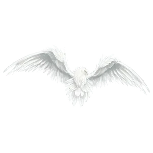 Feathered White Wings Design Png Psx PNG image